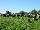 BCB05_bataillefinale019.jpg