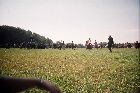 BCB05_bataillefinale110.jpg