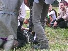 BCB05_campcarnonte009.jpg