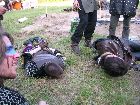 BCB05_campcarnonte012.jpg