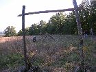 BCB05_montagecamp001.jpg