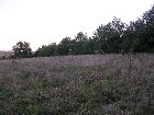 BCB05_montagecamp007.jpg