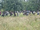 Ogham_14-07-08_21.jpg